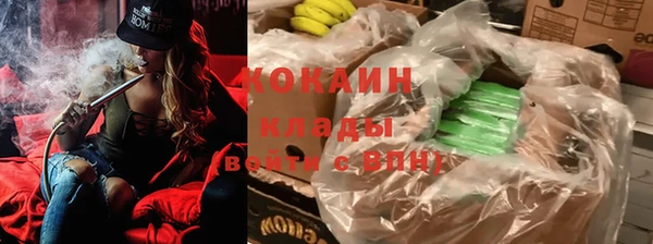 соль ск Абаза