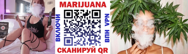 дарнет шоп  Чекалин  Шишки марихуана семена 